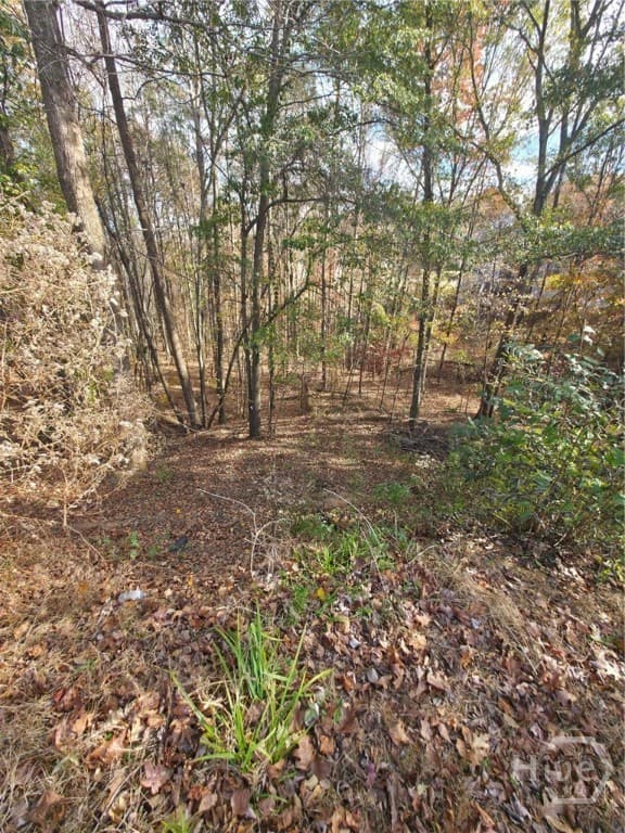 2412 Snowshoe Bn - Photo 1