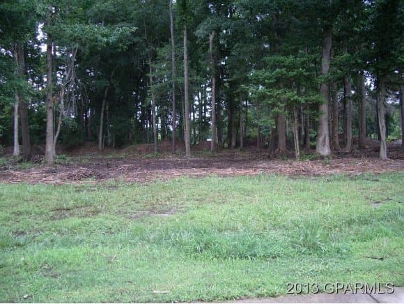 254 Magnolia Drive - Photo 1