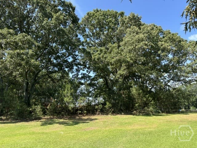 3511 New High Shoals Road