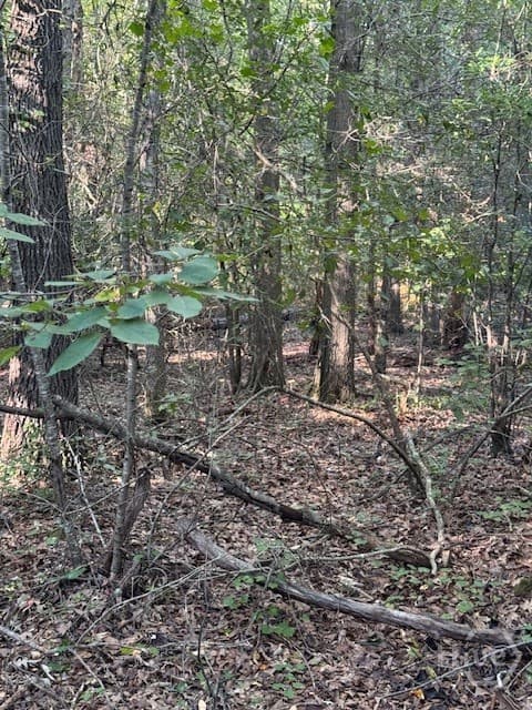 0 Rita Ridge Lot 8 - Photo 1