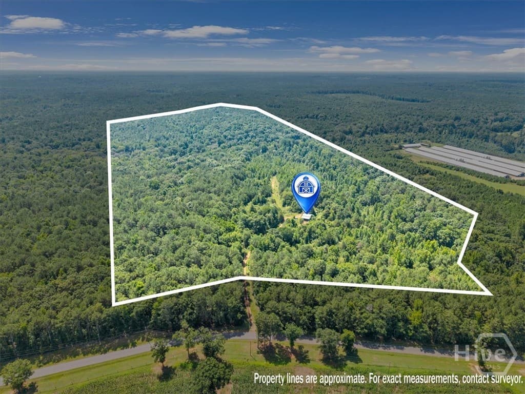 336 Piney Grove Road - Photo 1