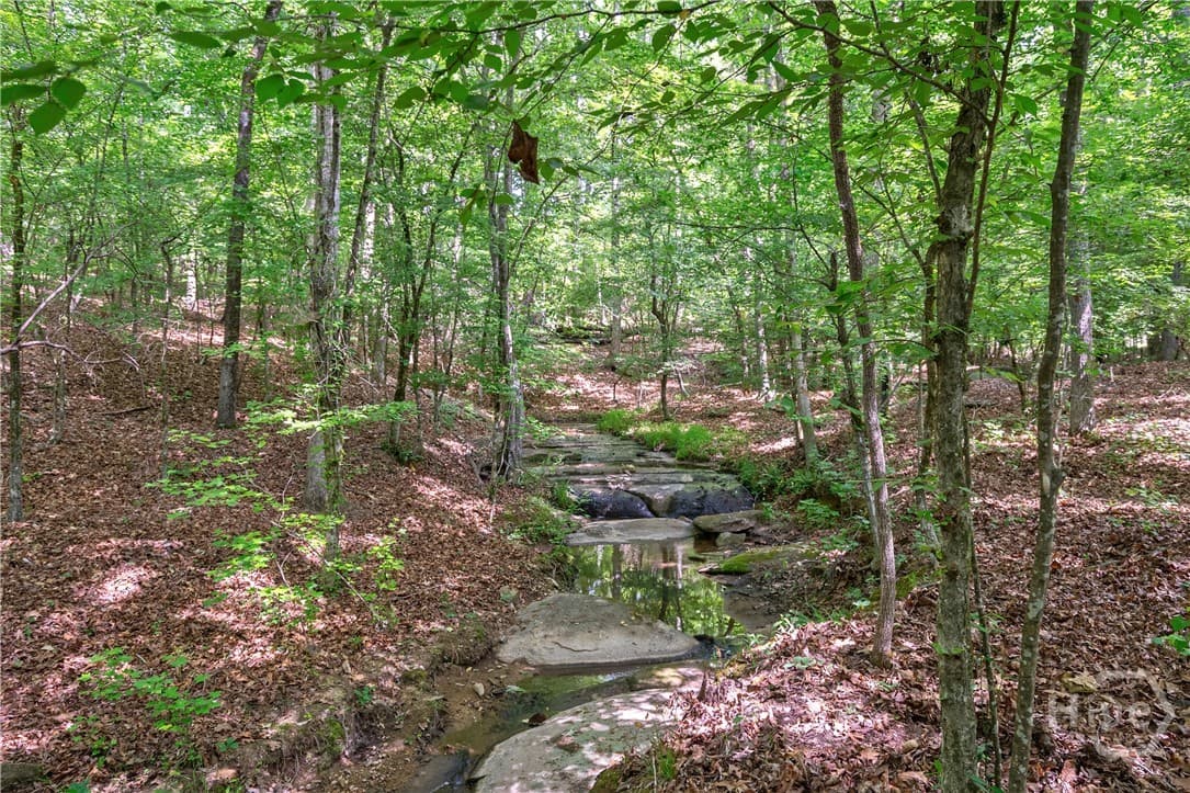 0 Gene Smith Road - Photo 1