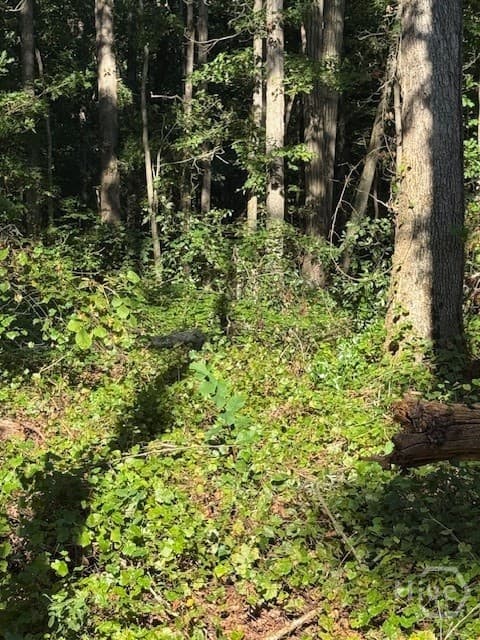 0 Rita Ridge LOT 6 - Photo 1