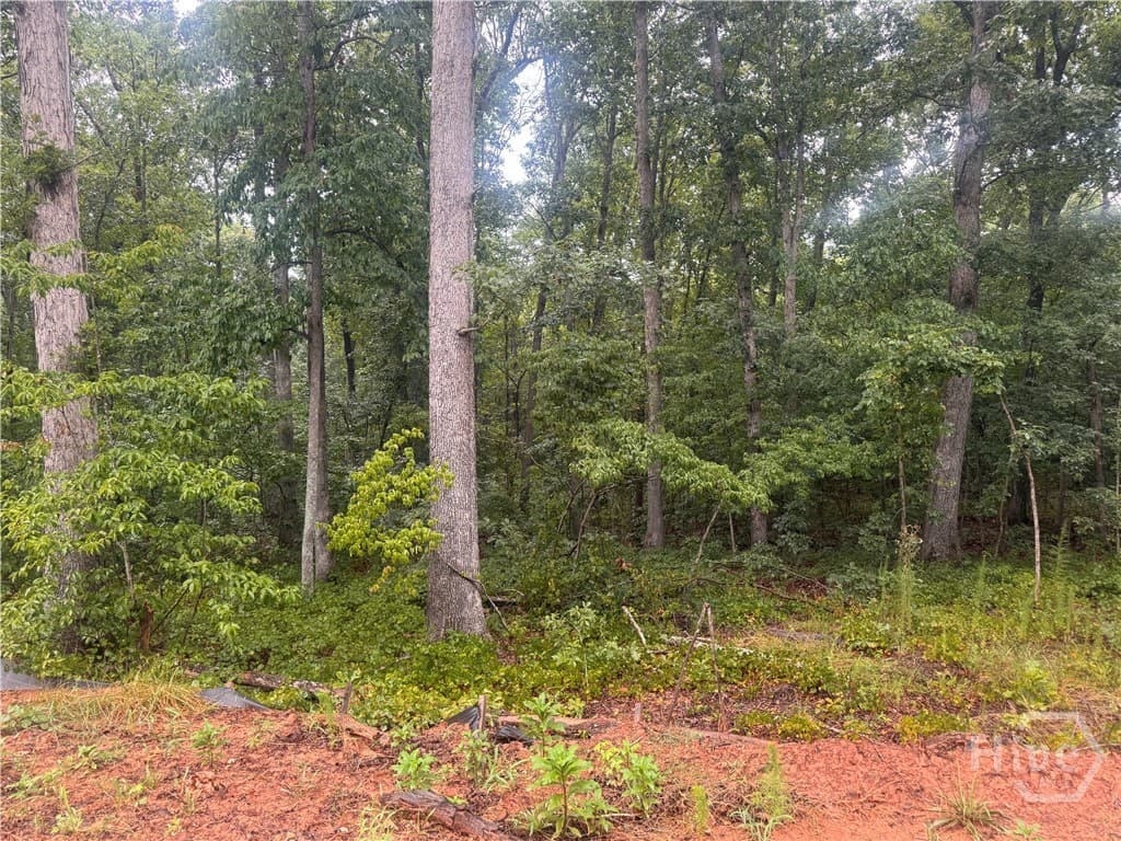 2A Curry Falls Trail Road 2A