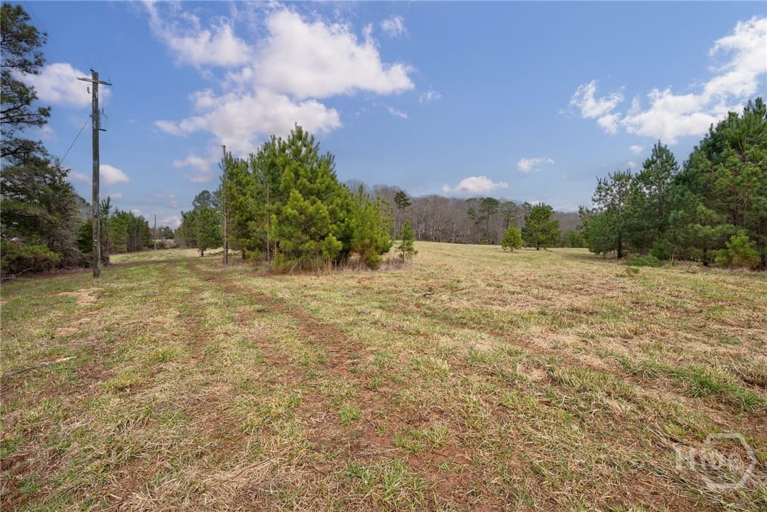 Tract 3 High Shoals Road - Photo 1