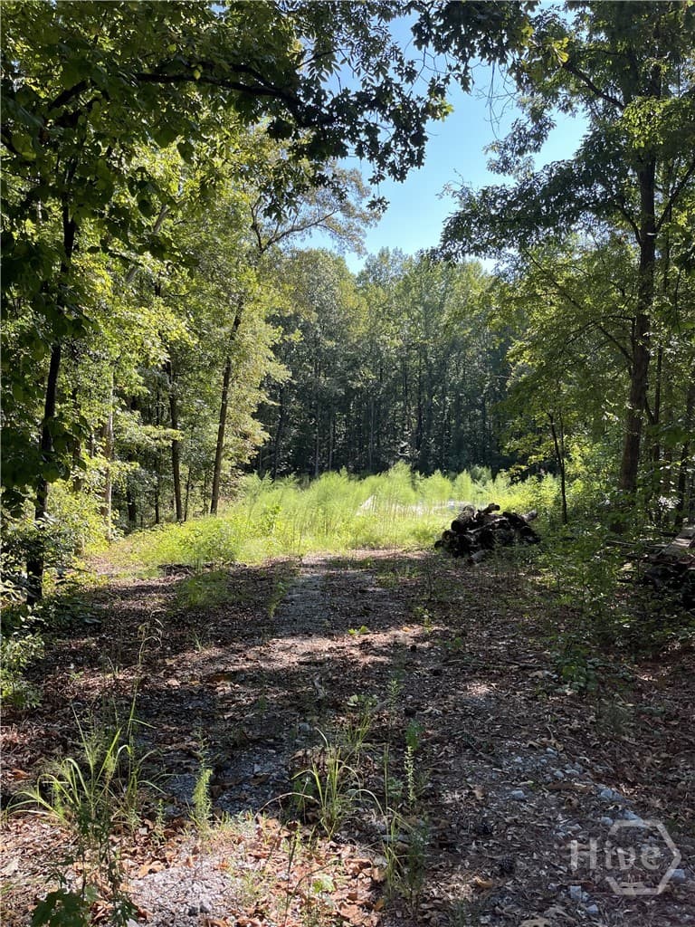 46 Creek Ridge