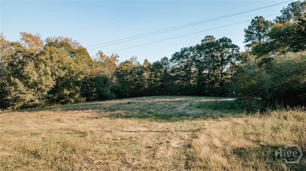 Tract 7 Robert Hardeman - Photo 1