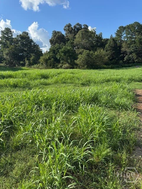 0 Rita Ridge LOT 2 - Photo 1