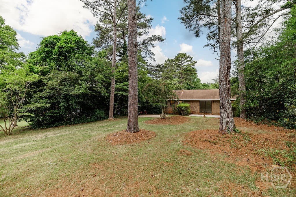Thumbnail 14