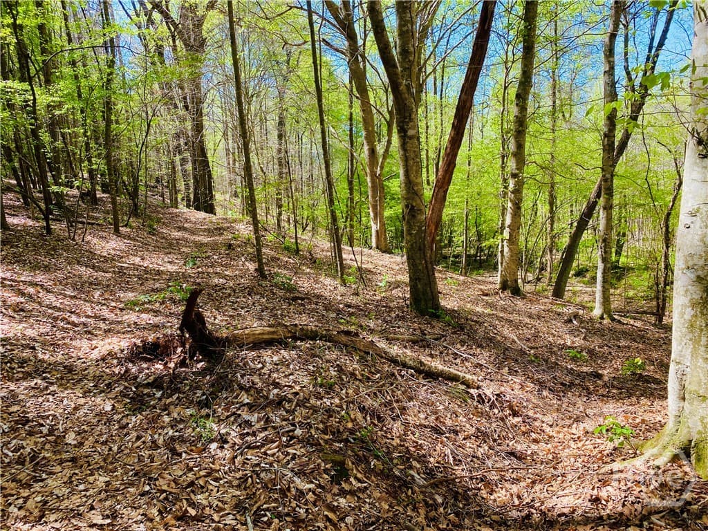 2B Curry Falls Trail Road 2B