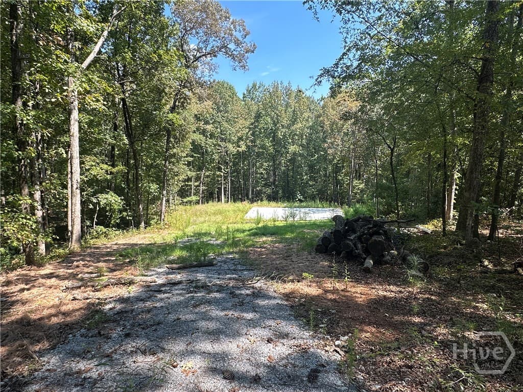 46 Creek Ridge
