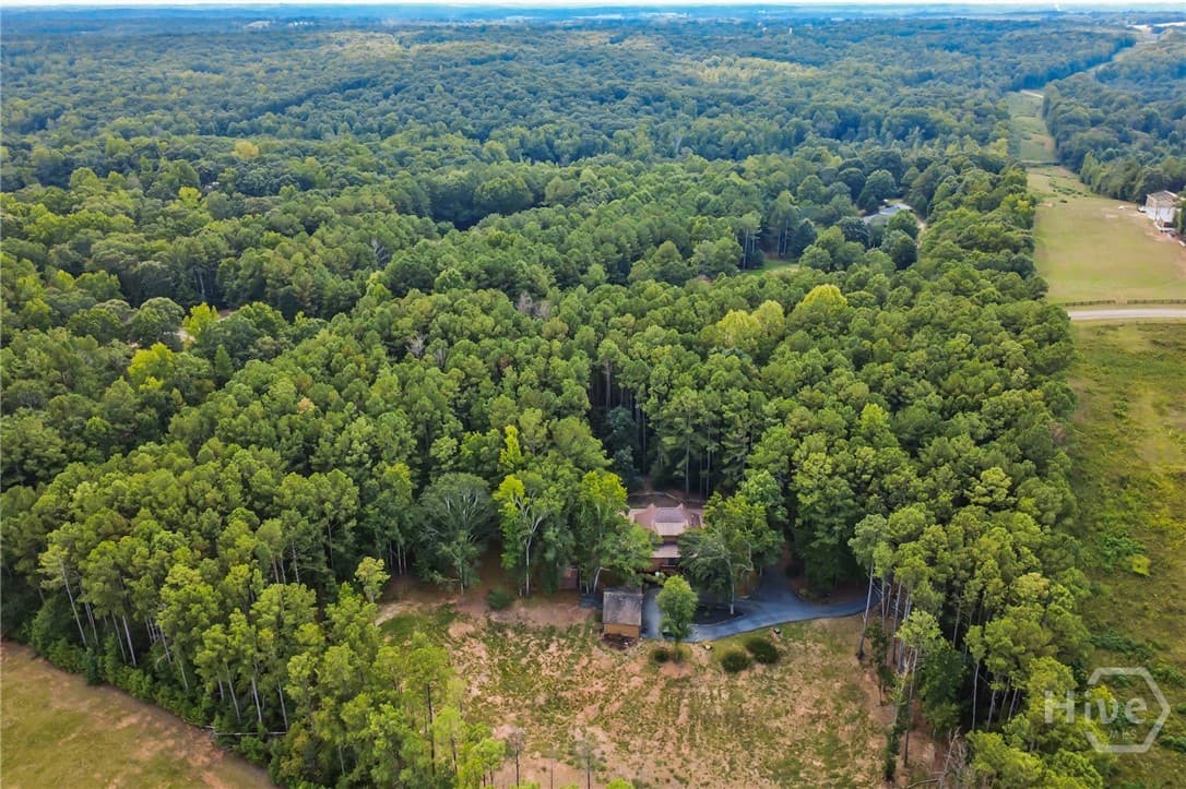 Thumbnail 33