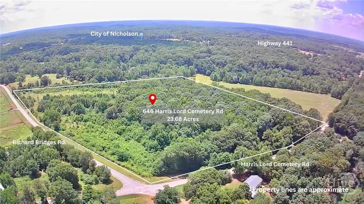 646 Harris Lord Cemetery Road - Photo 1