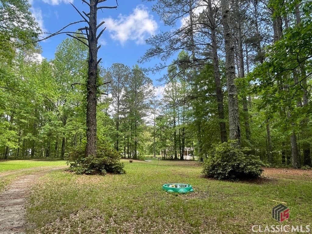 1851 McNutt Creek Road - Photo 1