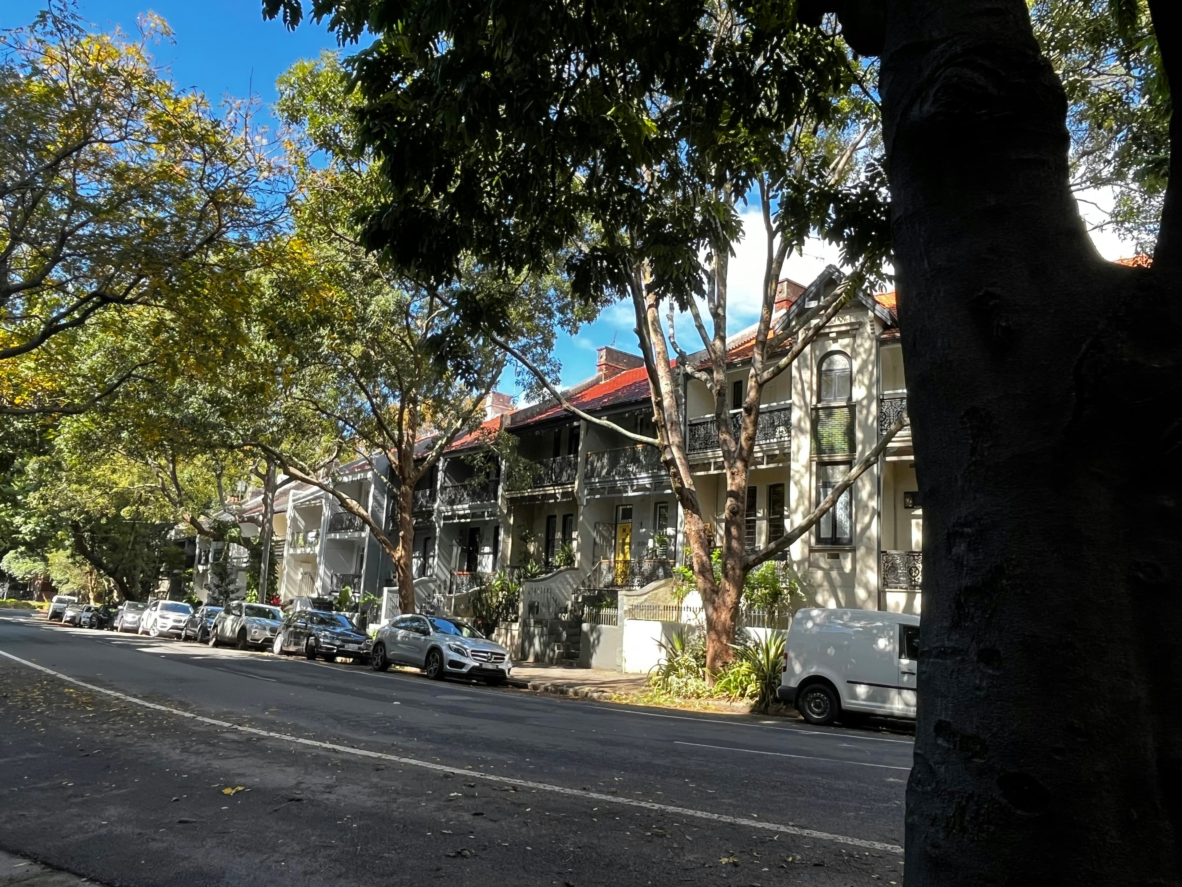 Athens GA residential street
