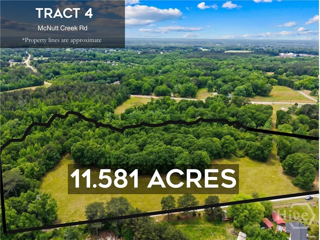 Tract 4 McNutts Creek Road - Photo 1