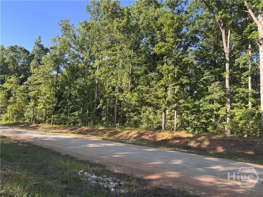 3 Curry Falls Trail Road 3