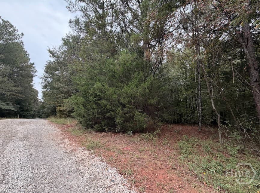 0 Lebanon Church Road tract 1 - Photo 1