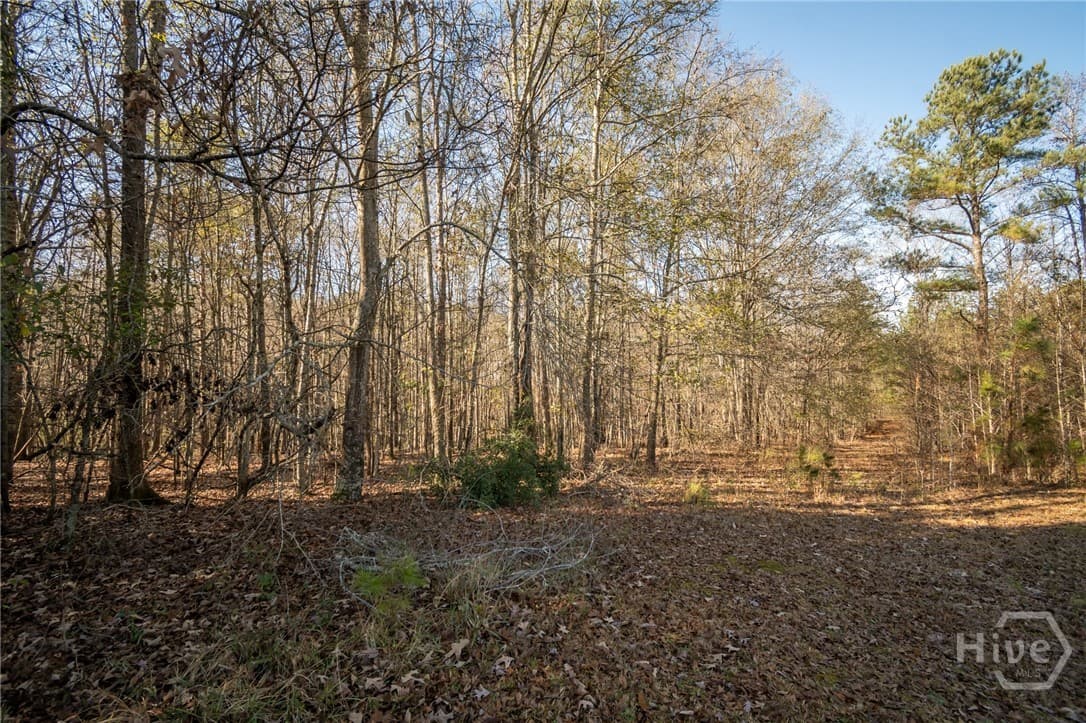 0 Lavista Road