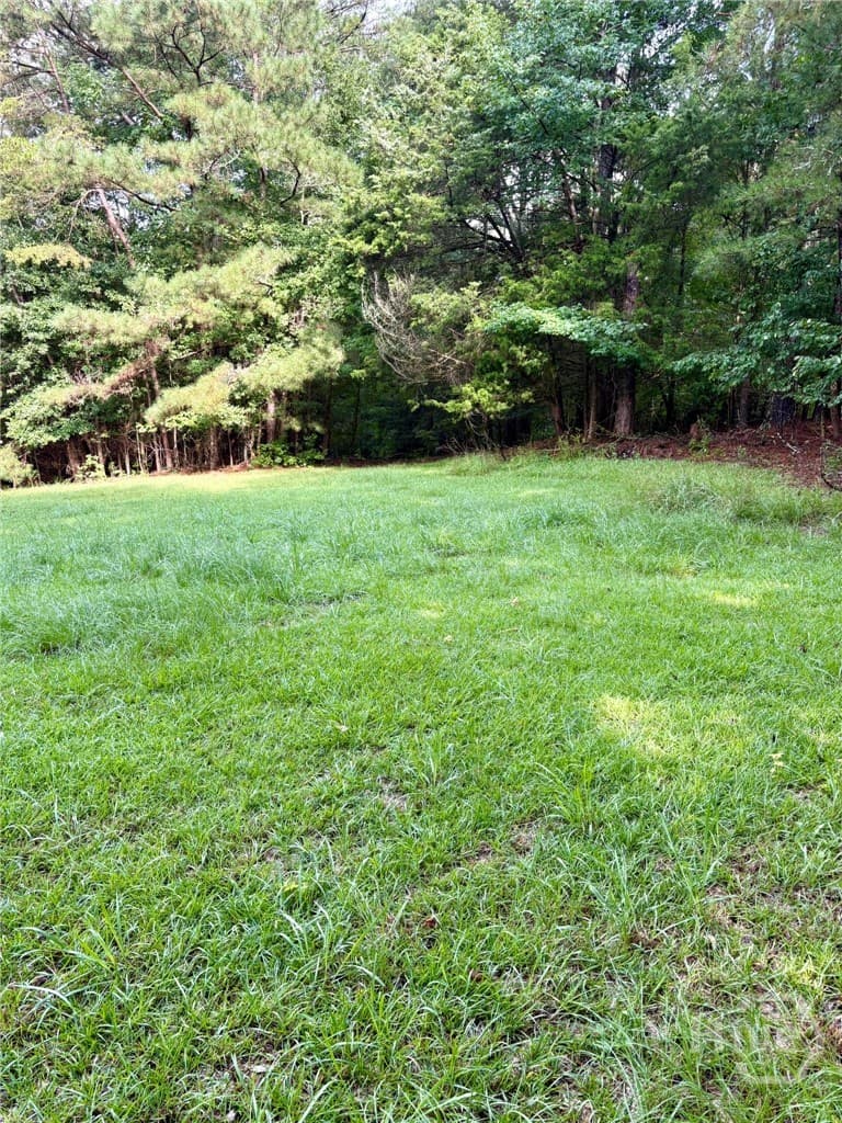 0 Macon Highway - Photo 1